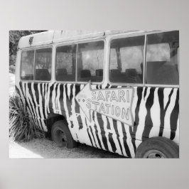 Safari Station Zebra Gestreepte Tour Bus Poster