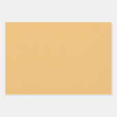 Safari Sunset Bohemian Star Herfst Mandala Art Dec Inpakpapier Vel (Voorkant 2)