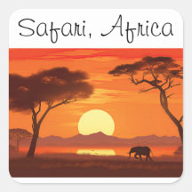  safari