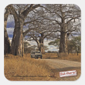 Safari Vierkante Sticker (Voorkant)