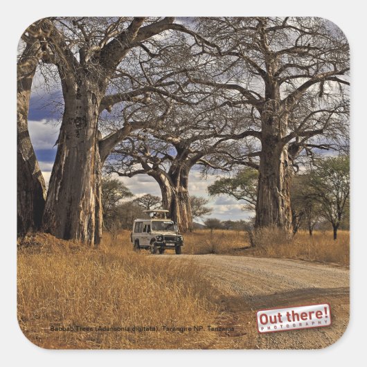 Safari Vierkante Sticker (Voorkant)