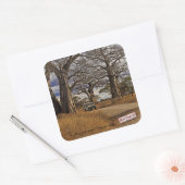 Safari Vierkante Sticker (Envelop)