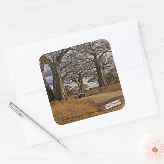 Safari Vierkante Sticker (Envelop)