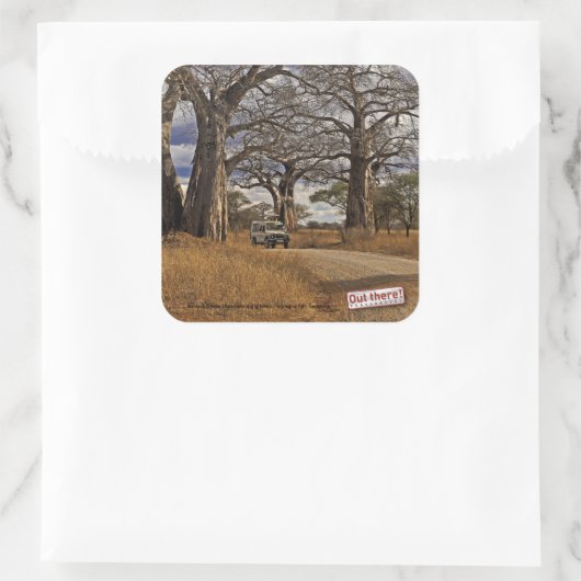 Safari Vierkante Sticker (Tas)