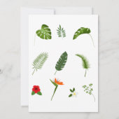 Safari Wild One Birthday Kaart (Achterkant)