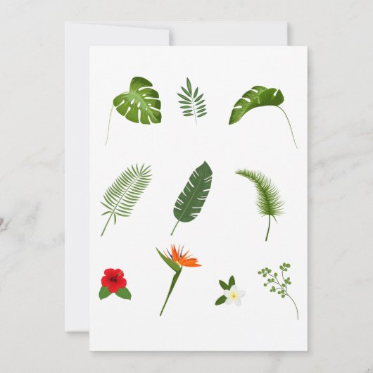 Safari Wild One Birthday Kaart (Achterkant)