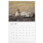 Safari Wildlife 2026 Muurkalender (Big Five & Bey) Kalender (Mar 2027)