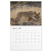 Safari Wildlife 2026 Muurkalender (Big Five & Bey) Kalender (Feb 2026)