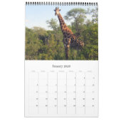 Safari Zuid-Afrika 2025 Kalender (Jan 2026)