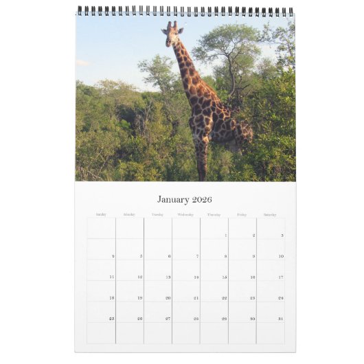 Safari Zuid-Afrika 2025 Kalender (Jan 2026)