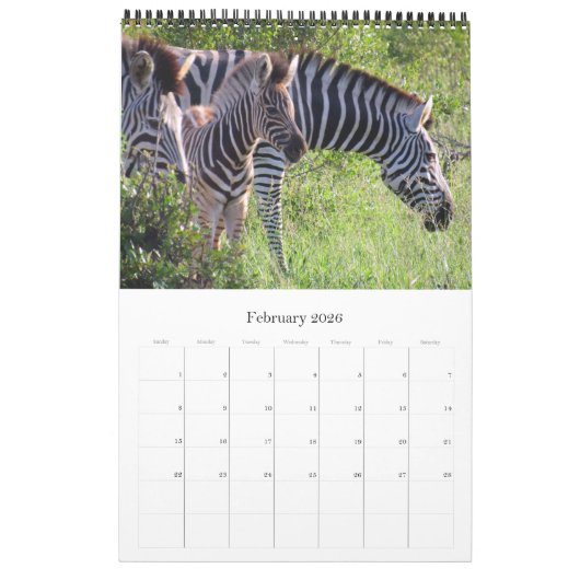 Safari Zuid-Afrika 2025 Kalender (Feb 2026)