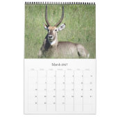 safari Zuid-Afrika 2026 Kalender (Mar 2027)