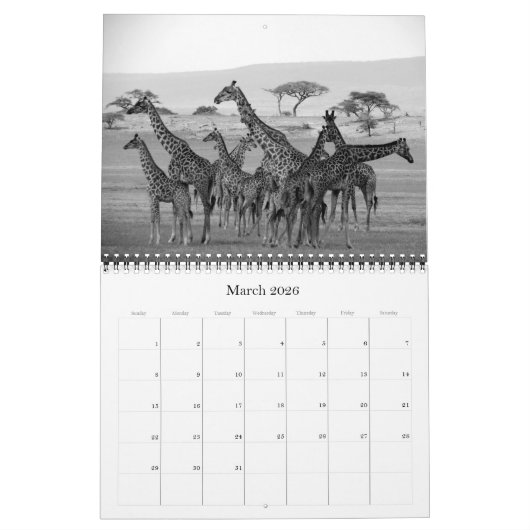 Safari Zwart & Wit 2025 Kalender (Mar 2026)