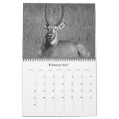 safari zwart & wit 2026  kalender (Feb 2027)