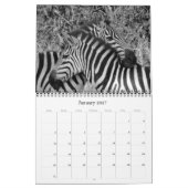 safari zwart & wit 2026  kalender (Jan 2027)
