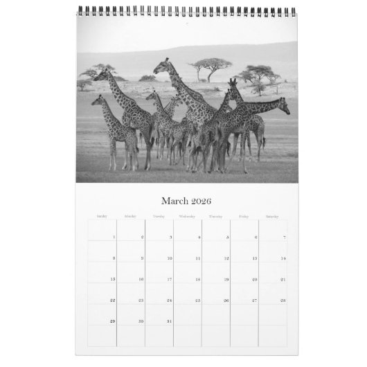 safari zwart-wit kalender (Mar 2026)