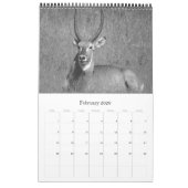 safari zwart-wit kalender (Feb 2026)