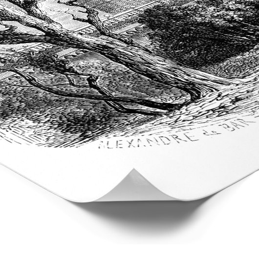 Safdarjung's tomb poster (Hoek)