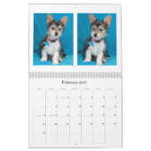 Safe Hands Rescue 2015-kalender Kalender (Feb 2027)