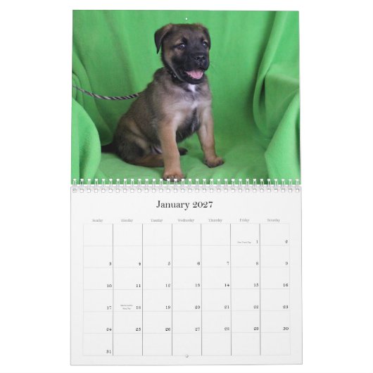 Safe Hands Rescue 2015-kalender Kalender (Jan 2027)