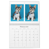 Safe Hands Rescue 2015-kalender Kalender (Feb 2026)