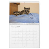 Safe Harbor Wildlife Agenda Kalender (Feb 2027)