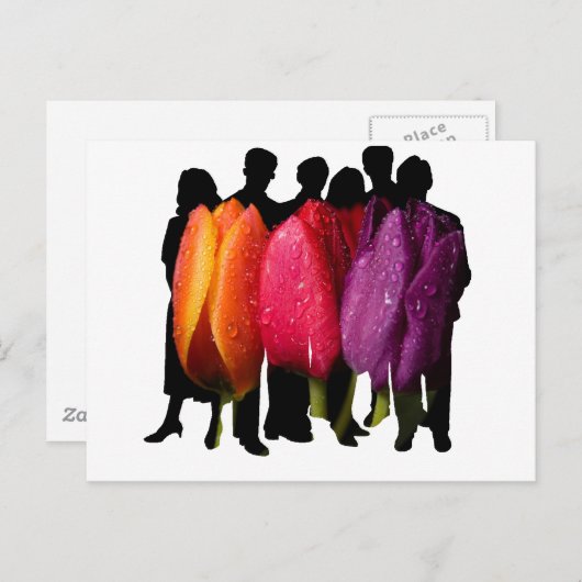 SAFE HAVEN BRIEFKAART (Voorkant / Achterkant)