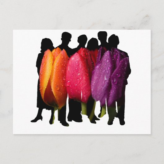 SAFE HAVEN BRIEFKAART (Voorkant)