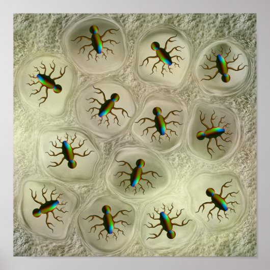 Safety Poster (Voorkant)