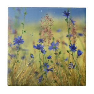 Saffier & Goud Decoratieve Tegel / Trivet Tegeltje