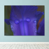 Saffier Sereniteit  Canvas Afdruk (Insitu (Houten vloer))