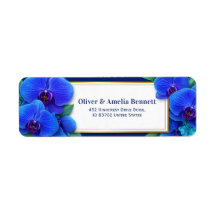 Saffier Vergulde Orchidee Botanisch Retouradres