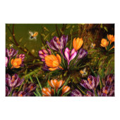 Saffron Crocus Foto Afdruk (Voorkant)
