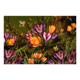 Saffron Crocus Foto Afdruk