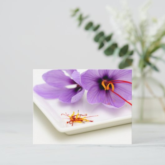 Saffron Flowers Briefkaart (Staand voorkant)