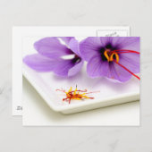 Saffron Flowers Briefkaart (Voorkant / Achterkant)