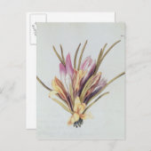Saffron of Crocus uit "La Guirlande de Julie" Briefkaart (Voorkant / Achterkant)