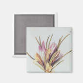 Saffron of Crocus uit "La Guirlande de Julie" Magneet (Voorkant / Achterkant)