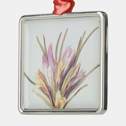 Saffron of Crocus uit "La Guirlande de Julie" Metalen Ornament (Links)