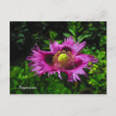 Sagacious PC Briefkaart (Voorkant)