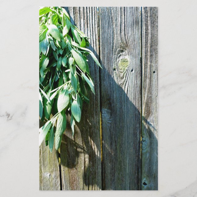 Sage Barn-wood, vers gesneden (Voorkant)