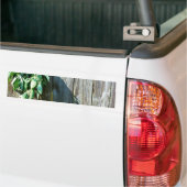 Sage Barn-wood, vers gesneden Bumpersticker (Op Truck)