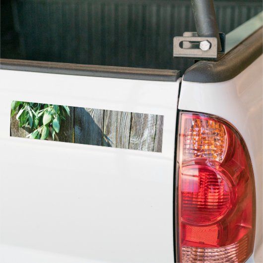 Sage Barn-wood, vers gesneden Bumpersticker (Op Truck)