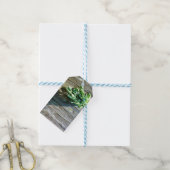 Sage Barn-wood, vers gesneden Cadeaulabel (Met Touw)