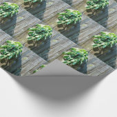 Sage Barn-wood, vers gesneden Cadeaupapier (Hoek)