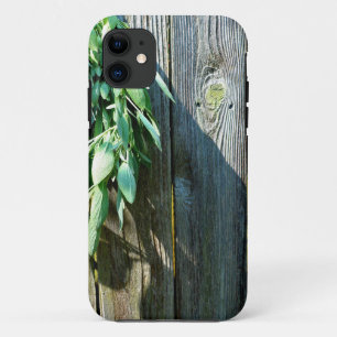 Sage Barn-wood, vers gesneden iPhone 11 Hoesje