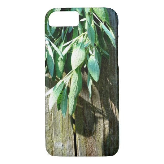 Sage Barn-wood, vers gesneden Case-Mate iPhone Case (Achterkant)