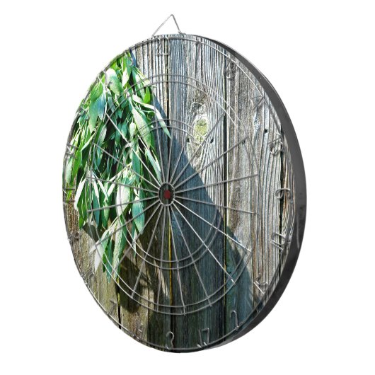 Sage Barn-wood, vers gesneden Dartbord (Voorkant Rechts)