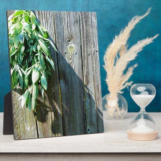 Sage Barn-wood, vers gesneden Fotoplaat (Zijkant)