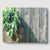 Sage Barn-wood, vers gesneden Gastenboek (Achterkant)